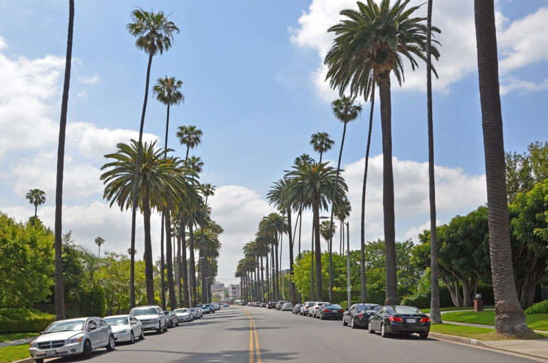 Palmenstraße in Beverly Hills