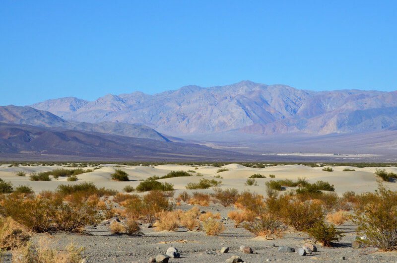 Infos ber Death Valley Vom USA Experten
