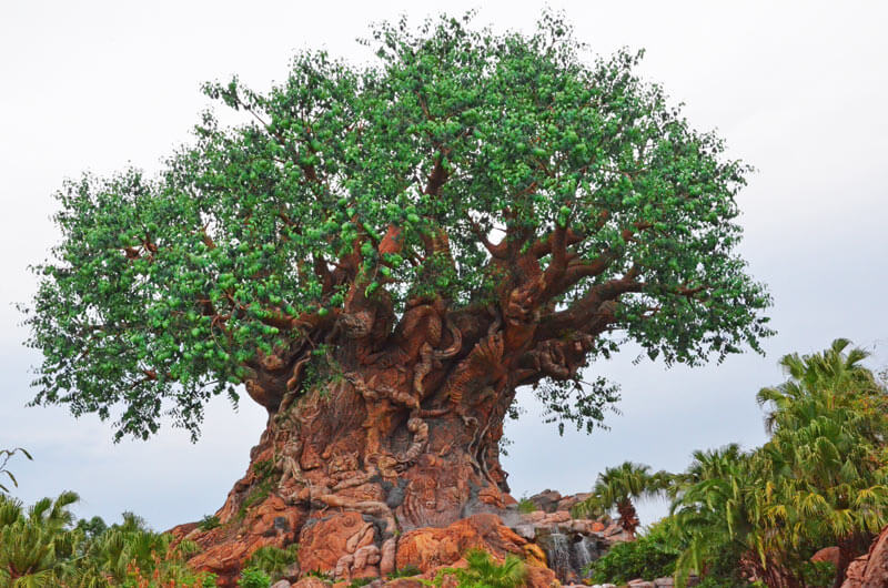 Disney Animal Kingdom Tree of Life