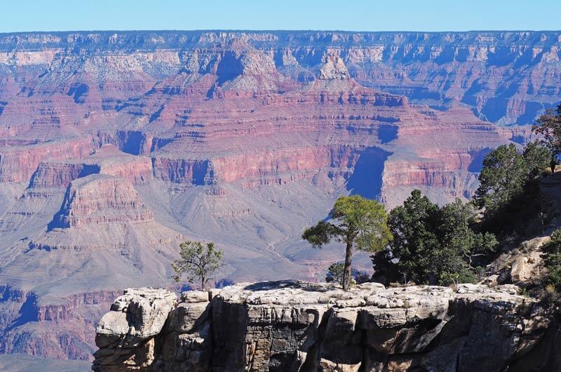 Vorsprung mit Bäumen am Grand Canyon