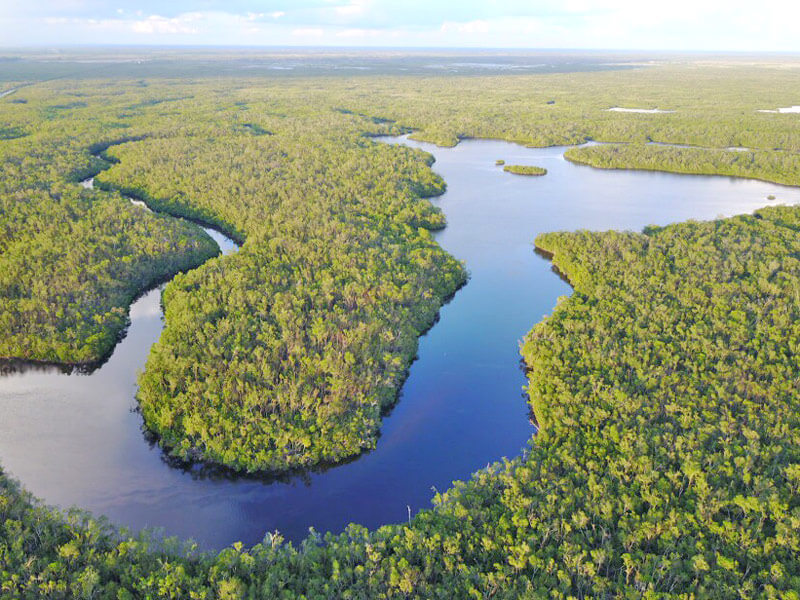 Luftaufnahme vom Everglades NP