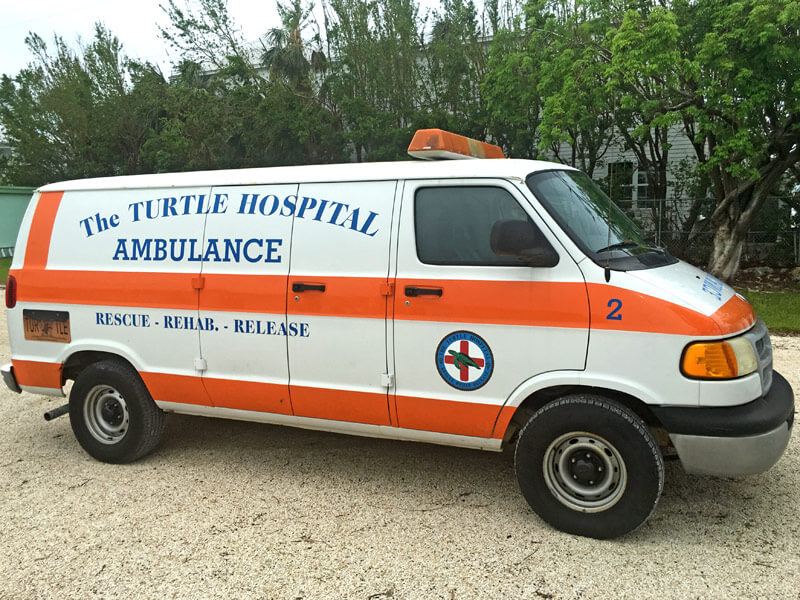 Krankenwagen für Schildkröten
