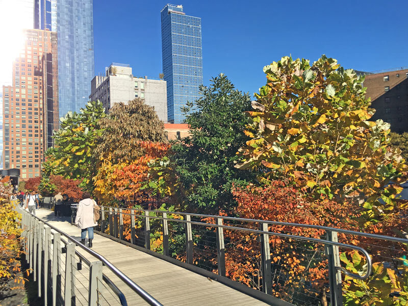 High Line Park im Herbst