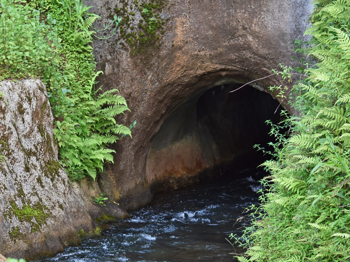 Infos und buchen vom Tubing auf Kauai beim USAReisen Experten