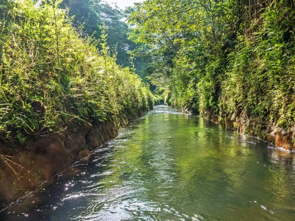 Tubing Kauai - 412 Wasserweg beim Tubing Anbieter auf Kauai