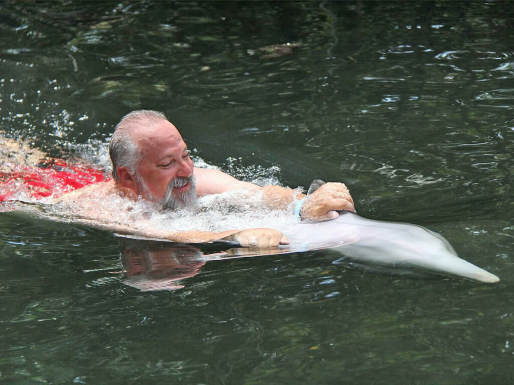 Weihnachtsmann schwimmt mit Delpfine in Florida