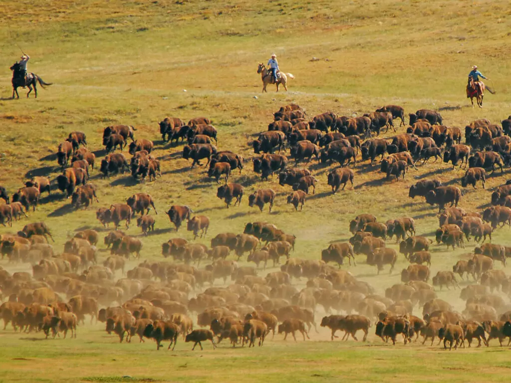 Mittlerer Westen Rundreisen Übersicht