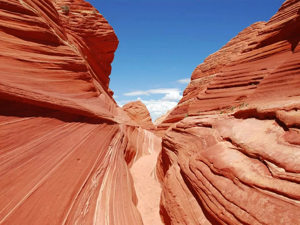 The Wave - 260 Schmaler Canyon im The Wave