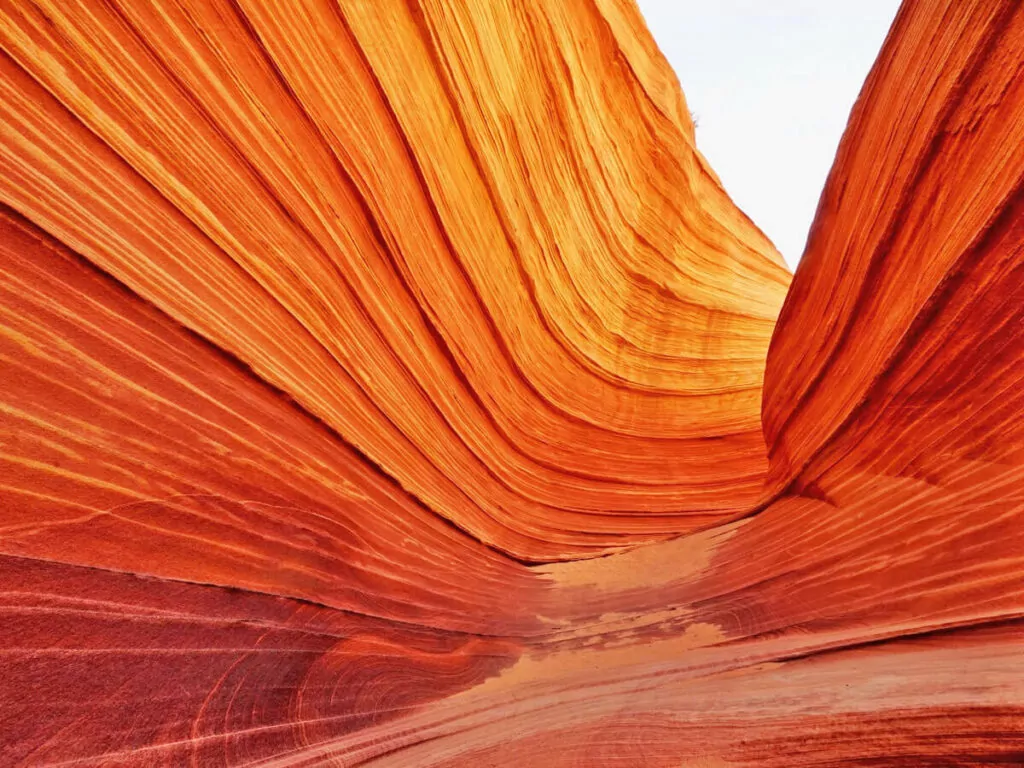 The Wave - 260 The Wall Street im The Wave