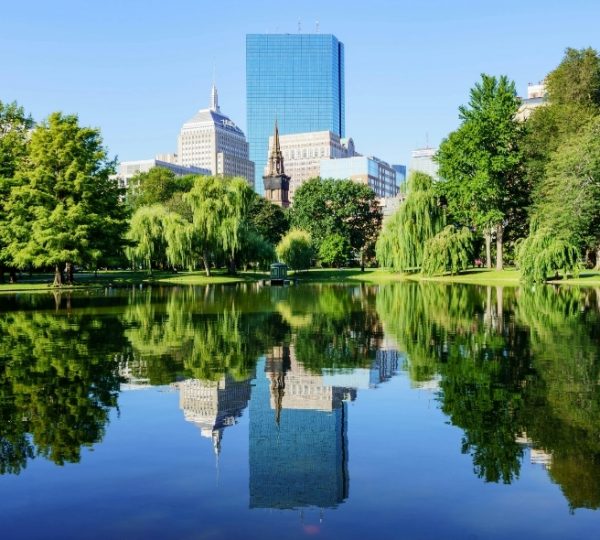 Städtische Parklandschaft in Boston mit Teich, umgeben von grünen Bäumen und modernen Wolkenkratzern unter klarem Himmel, Boston im Hintergrund