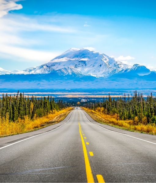 Weite Straße durch gelbe Wildblumenfelder mit Blick auf schneebedecktes Denali im Yukon & Alaska, unter blauem Himmel.