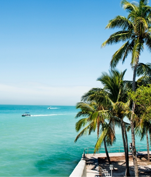 Tropische Palmen am Ufer bei Florida, türkisfarbenes Meer und sonniger Himmel, dazu Blick auf ruhige Wasserlinie – Kanada-Reisen