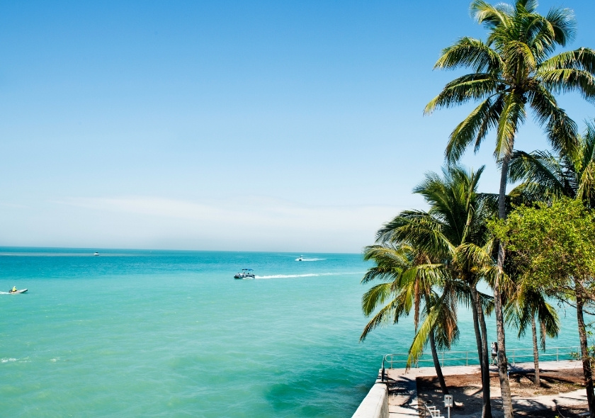 Türkisfarbenes Meer vor der Küste Floridas mit Palmen, blauem Himmel und Ausblick auf ruhige Wasserfläche und Boote.