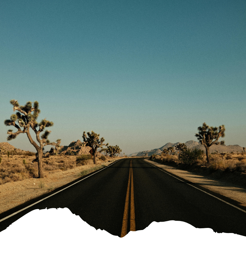 Eine Wüstenstraße mit Joshua Trees und langem Wegverlauf durch trockene Landschaft, vor blauem, leicht grünlichem Himmel und klarer Sicht.