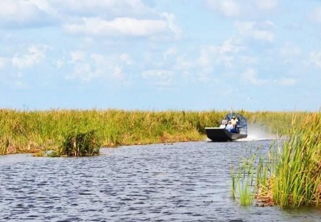 Ein Luftkissenboot fährt durch die Everglades, während hohes Schilf den Wasserkanal säumt und der Himmel über dem Sumpfland hell aufzieht.