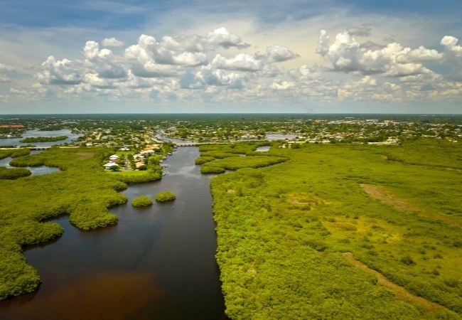Weite Luftaufnahme zeigt das grüne Sumpfland der Everglades mit einem dunklen Wasserlauf, niedrigen Inseln und dichter Vegetation unter Wolken.