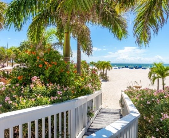 Über einen weißen Holzsteg führt der Weg zwischen Palmen und blühenden Sträuchern zu feinem Sandstrand und türkisblauem Meer bei St. Pete Beach.
