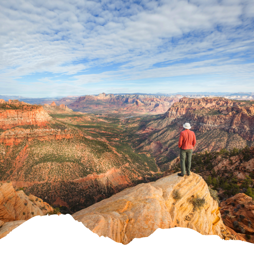 Ein Wanderer steht auf einem Felsvorsprung und blickt über ein weites Canyon-Tal mit roten Klippen und wolkigem Himmel im US-Nationalpark.