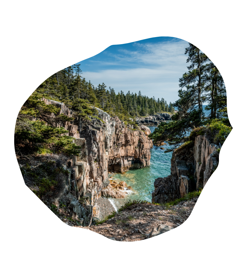 Zwischen steilen Felsen und Kiefern fließt türkisblaues Wasser durch eine enge Küstenbucht im Acadia Nationalpark am Atlantik bei Maine im Sommer.