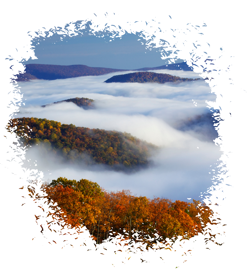 Über dem Shenandoah Nationalpark liegen dichte Nebelschwaden zwischen bewaldeten Bergkämmen, während unten herbstlich gefärbte Bäume leuchten.