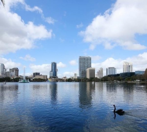 Blick über einen See auf die Skyline von Orlando mit Hochhäusern, blauem Himmel und einem schwarzen Schwan im Vordergrund.