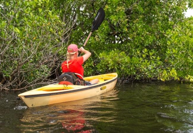Eine Person im gelben Kanu paddelt an dichtem grünem Uferbewuchs in ruhigem Wasser entlang vorbei.