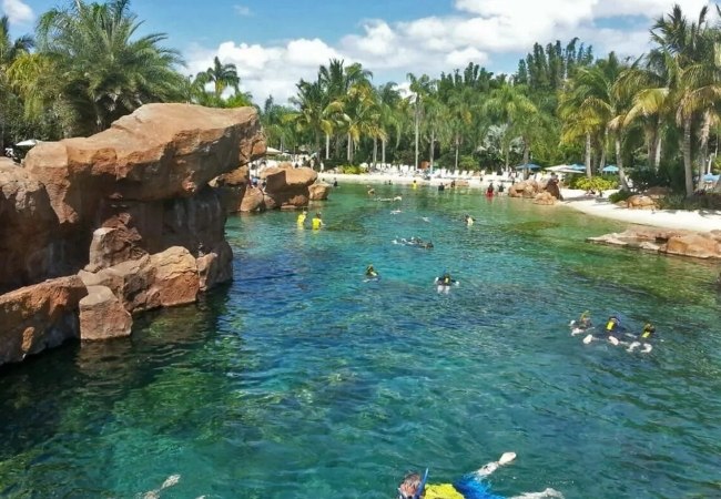 In Discovery Cove in Orlando gleiten Schnorchler durch eine türkisfarbene Lagune zwischen Felsen, Palmen und hellem Sand unter sonnigem Himmel.