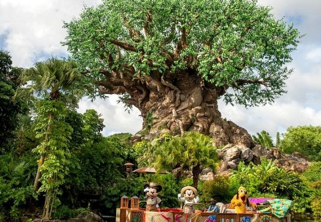 Vor dem mächtigen Tree of Life in Disney's Animal Kingdom fahren Mickey, Minnie und Pluto in einer farbenfrohen Parade durch tropische Vegetation.
