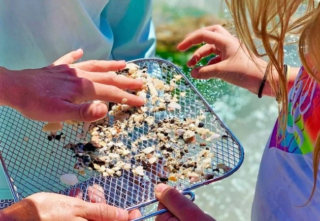 Mehrere Hände halten ein Sieb mit Haifischzähnen und Muschelresten, während ein Kind am sonnigen Strand von Venice Beach beim Sammeln mitgreift.