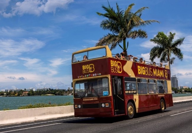 Am Wasser fährt ein roter Big Bus Miami vorbei, während Palmen und blauer Himmel die Hop-on-Hop-off-Route durch die Stadt prägen.