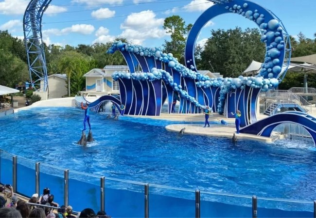 Bei SeaWorld Orlando spritzt eine blaue Delfinshow vor einer großen Bühne mit Wellenkulisse, während das Publikum im Stadion zuschaut.