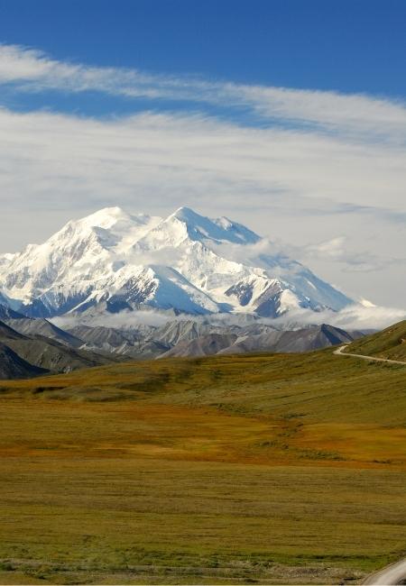 Der schneebedeckte Denali erhebt sich über Tundra unter blauem Himmel, ein schmaler Weg führt durch die Landschaft.