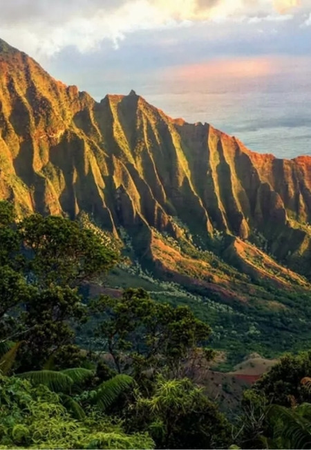 Vom Kalalau Lookout auf Kauaʻi fallen steile, goldene Klippen zur üppig grünen Küste und zum stillen Meer ab.