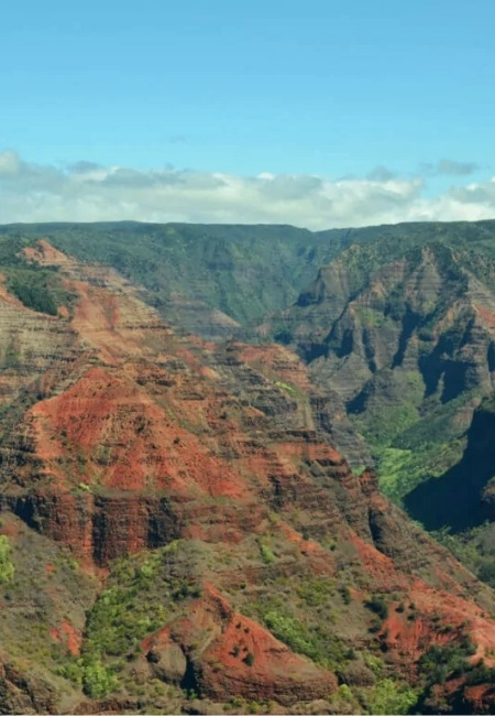 Der Waimea Canyon auf Kauaʻi zeigt rotbraune Felswände, tiefe Schluchten und grüne Vegetation unter blauem Himmel.