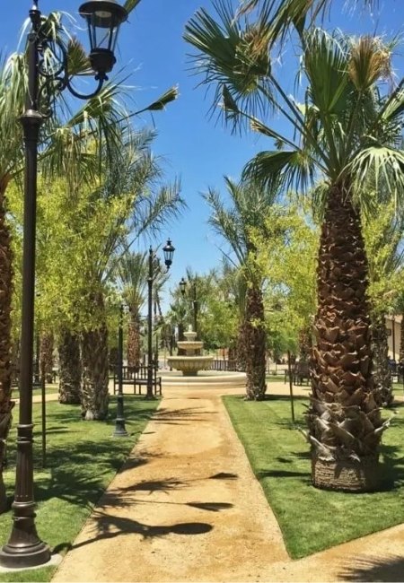 Ein palmengesäumter Gartenweg führt unter blauem Himmel zu einem Brunnen in der Death Valley Oase nahe Las Vegas.