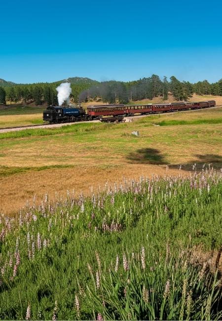 Ein schwarzer Dampflokzug mit roten Waggons fährt durch offene Prärie vor bewaldeten Hügeln der Black Hills.