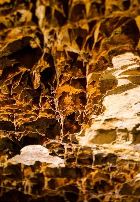 Im Wind Cave Nationalpark zeigt sich eine goldbraune Höhlendecke mit zerklüftetem Gestein und hellen Kalkflächen.