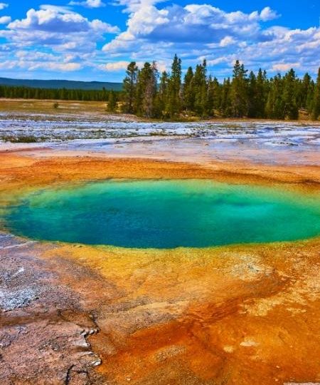 Im Yellowstone Nationalpark leuchtet eine türkisfarbene Thermalquelle vor orangefarbenem Sinter und Kiefern.