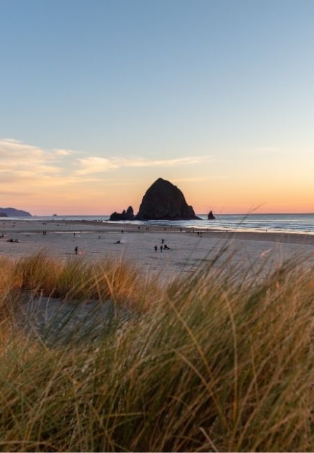 Bei Sonnenuntergang erhebt sich Haystack Rock vor der Küste von Cannon Beach, während Strandhafer den Vordergrund rahmt.