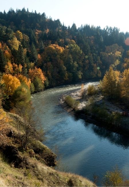 Der Hood River schlängelt sich durch einen herbstlich gefärbten Waldhang im Pacific Northwest entlang.
