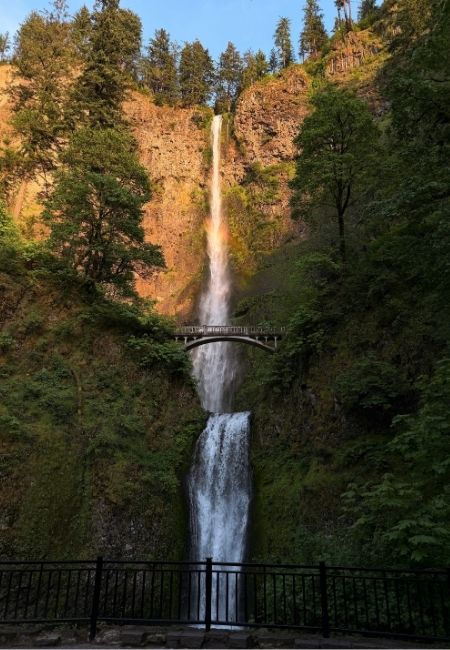 Die Multnomah Falls stürzen in zwei Stufen durch eine grüne Schlucht, über der oberen Kaskade schimmert ein Regenbogen.