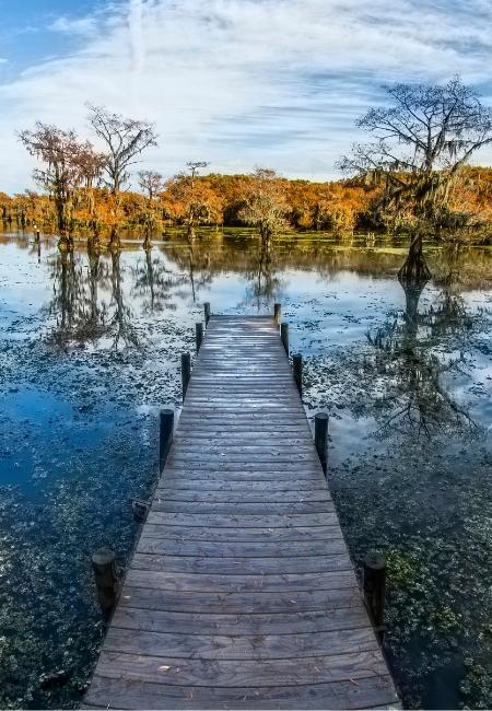 Ein Holzsteg führt durch ruhiges Wasser im Caddo Lake State Park, umgeben von herbstlichen Bäumen.