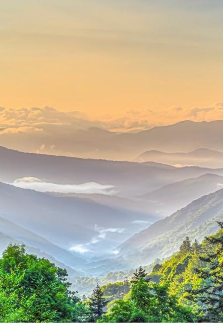 Nebelschwaden liegen über den hügeligen Great Smoky Mountains in Tennessee, während der Himmel in warmen Goldtönen leuchtet.