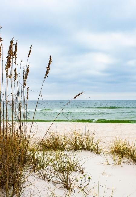 Am Strand von Gulf Islands National Seashore in Mississippi stehen Strandgras und Dünen vor ruhiger See.