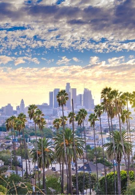 Die Skyline von Los Angeles erhebt sich hinter hohen Palmen unter einem goldenen Himmel am frühen Morgen.