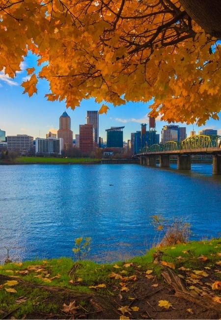 Am Flussufer von Portland rahmen goldenes Herbstlaub, Wasser und eine grüne Brücke die Skyline im warmen Licht ein.