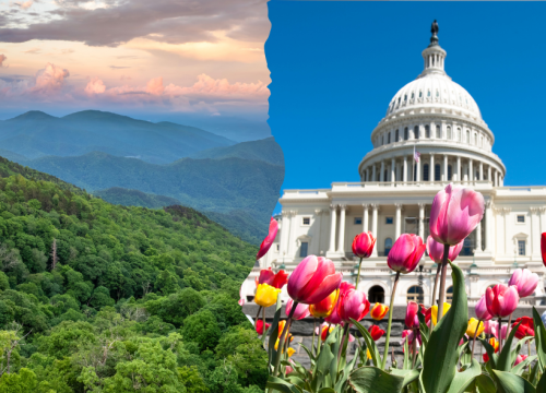 Blue Ridge Roadtrip: Bergstraßen, Bluegrass und Südstaaten