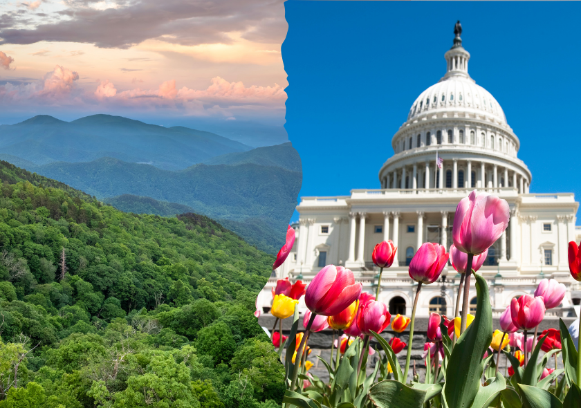 Blue Ridge Roadtrip: Bergstraßen, Bluegrass und Südstaaten