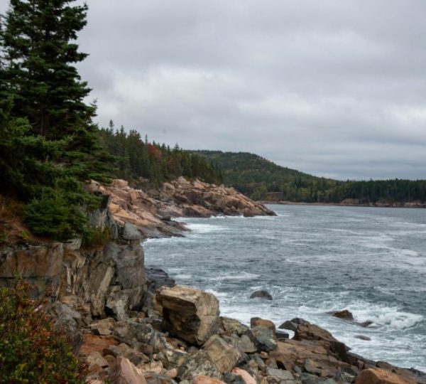 Eine felsige Küste mit Nadelwald und rauer See am Otter Cliff im Acadia National Park an der Maineküste Neuenglands.