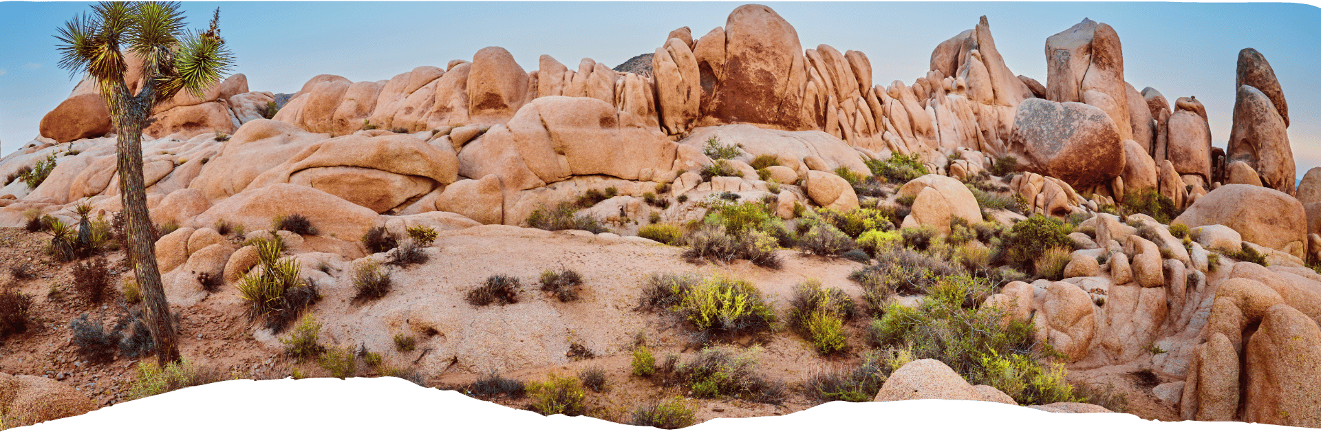 Felsige Wüstenlandschaft mit Joshua Trees und markanten Granitformationen im Joshua Tree National Park, Kalifornien